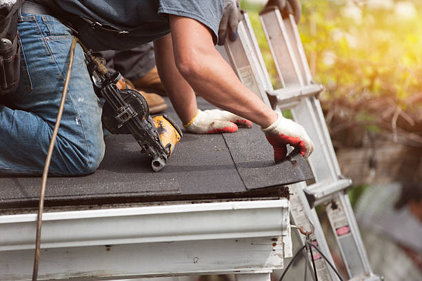 Best Metal Roofing Contractor  in Corning, IA
