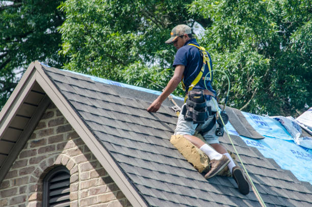 Best Roof Leak Repair  in Corning, IA
